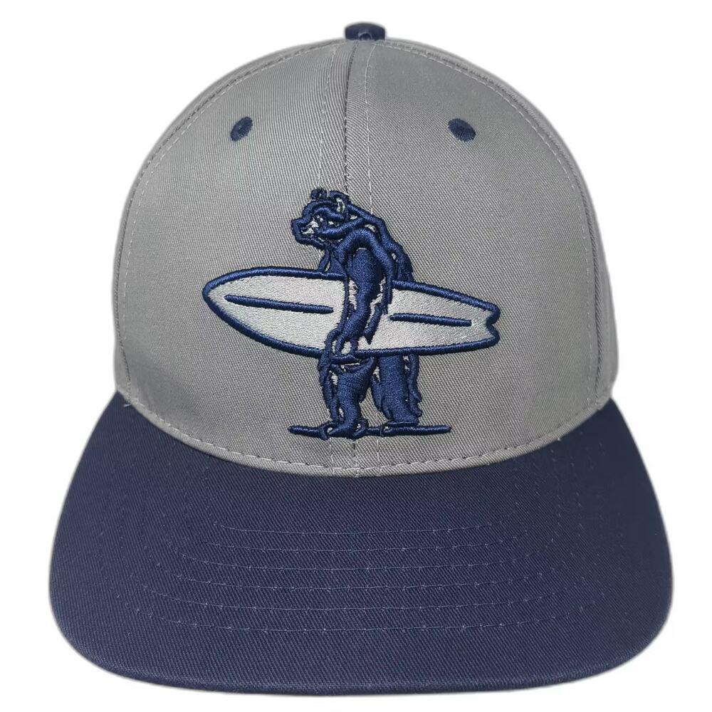 Everyday California Snapback Hat Gray Blue Embroidered Bear Surfboard OSFM Flat